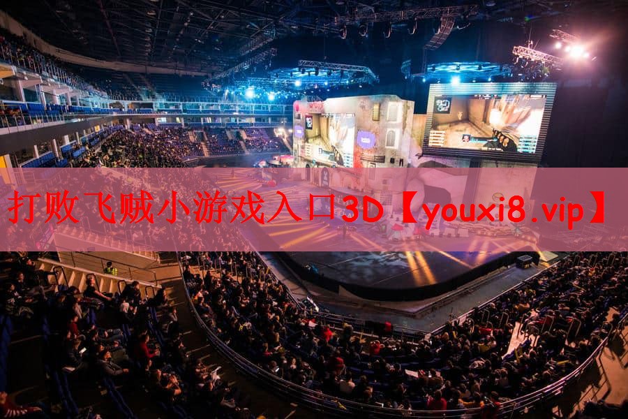 打败飞贼小游戏入口3D